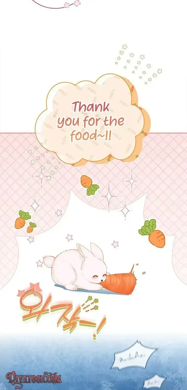 If you are locked up, please wave a carrot. Chapter 1.3 page 12 - 