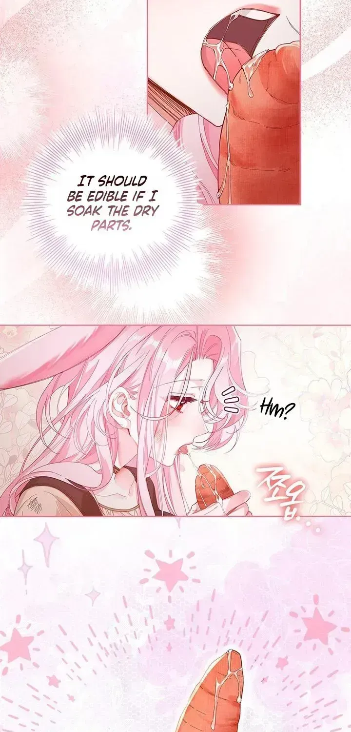 If you are locked up, please wave a carrot. Chapter 1.3 page 9 - 