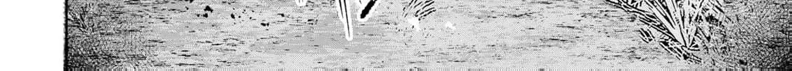If You Are Looking for a Saint, It Is Definitely My Younger Sister. Please Take Her Away, Right Now Chapter 22 page 26 - 