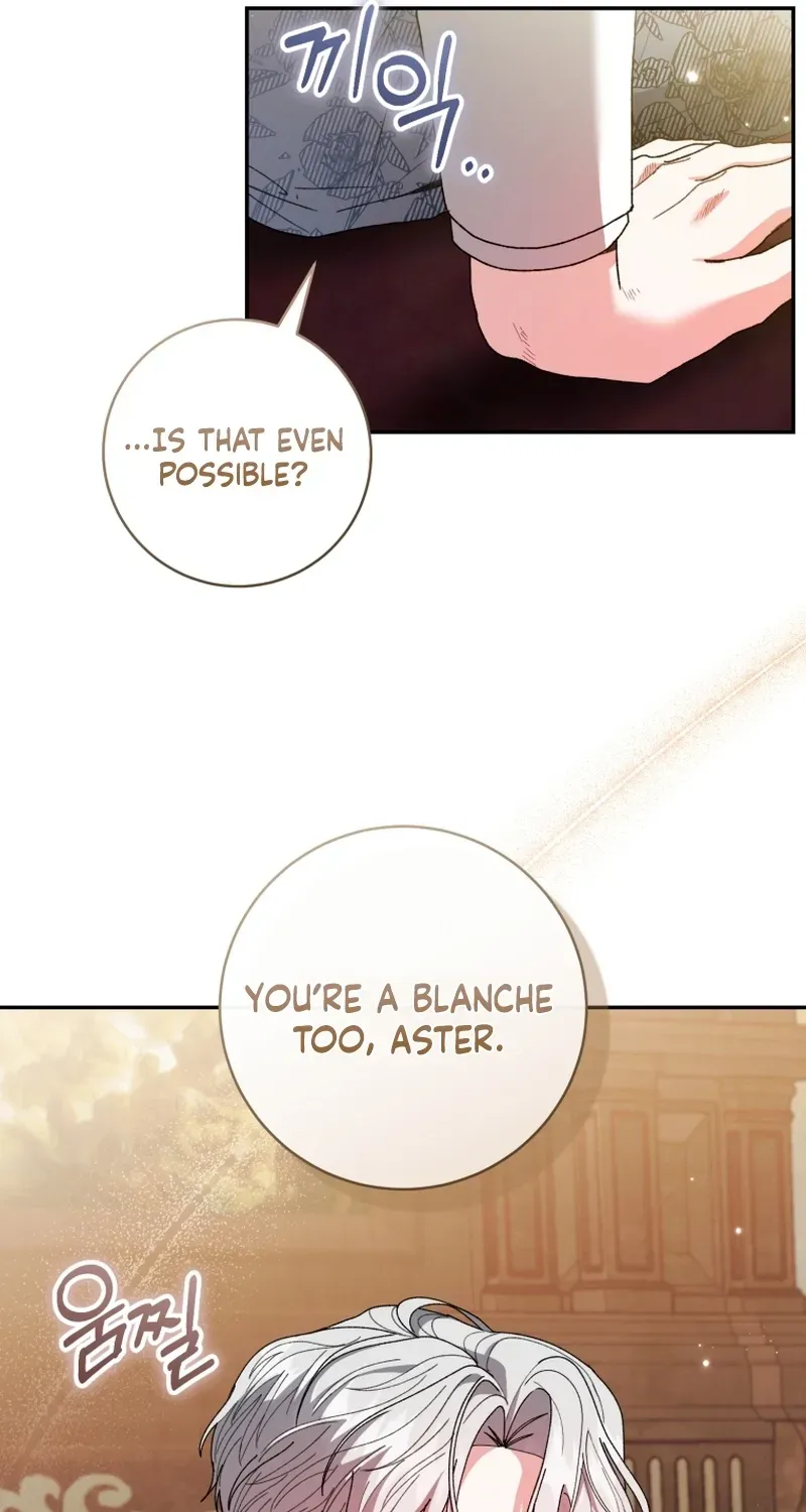 If You Marry the Illegitimate Child of an Enemy Family Chapter 11 page 28 - 