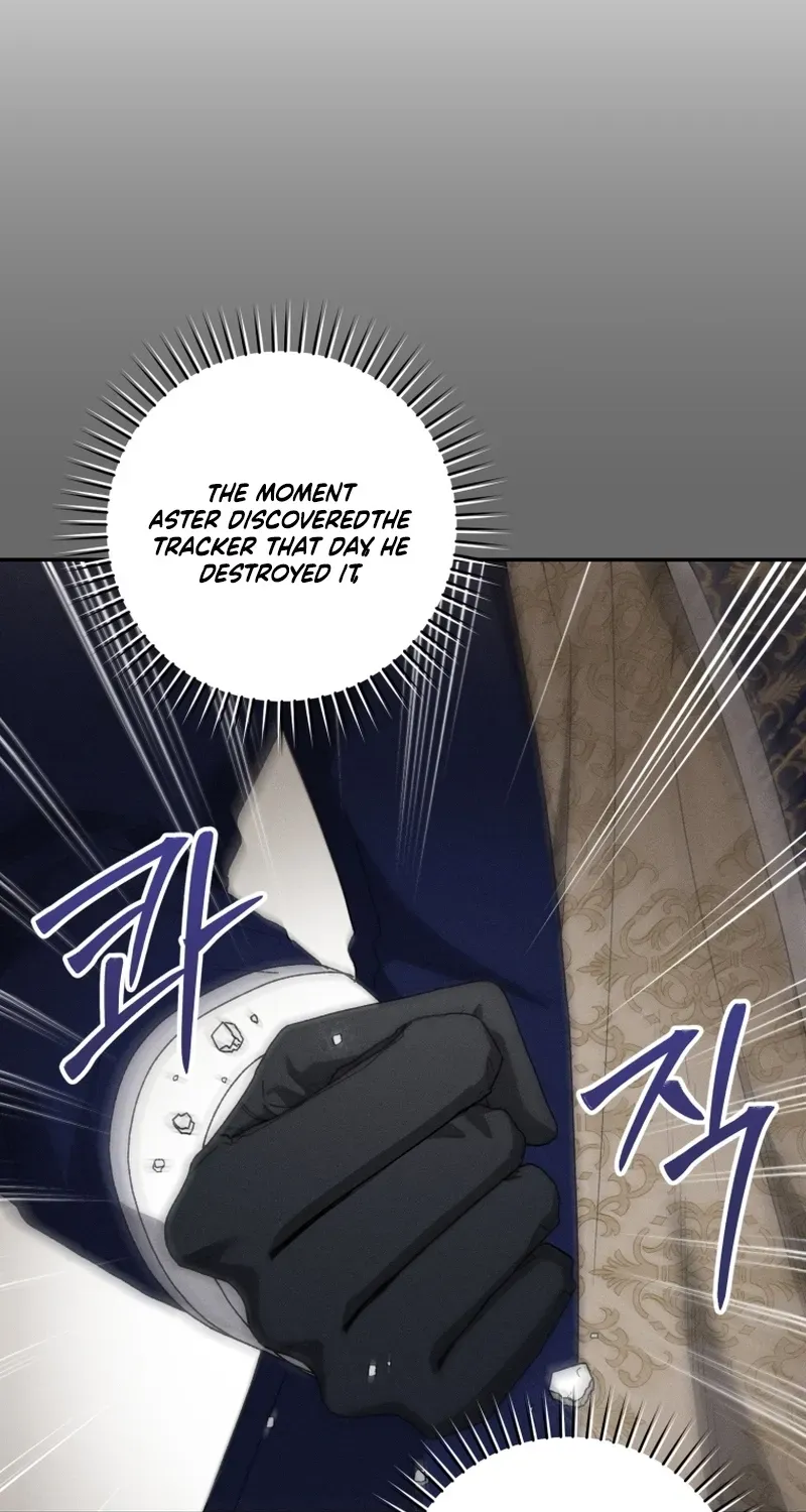If You Marry the Illegitimate Child of an Enemy Family Chapter 14 page 9 - 