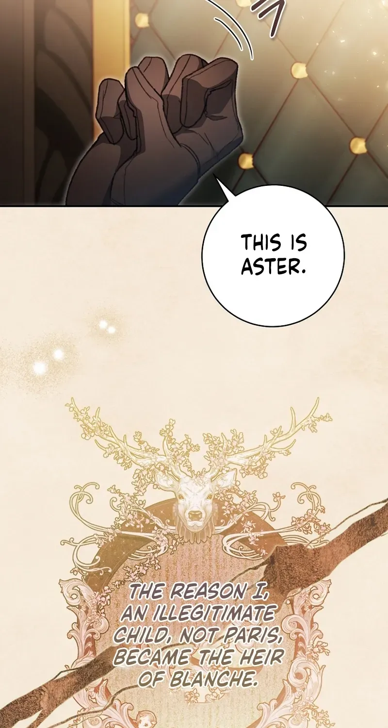 If You Marry the Illegitimate Child of an Enemy Family Chapter 2 page 73 - 