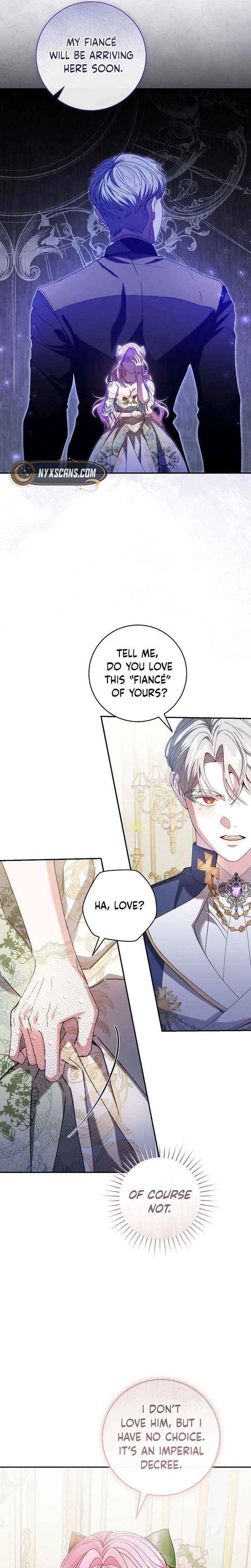 If You Marry the Illegitimate Son of the Enemy