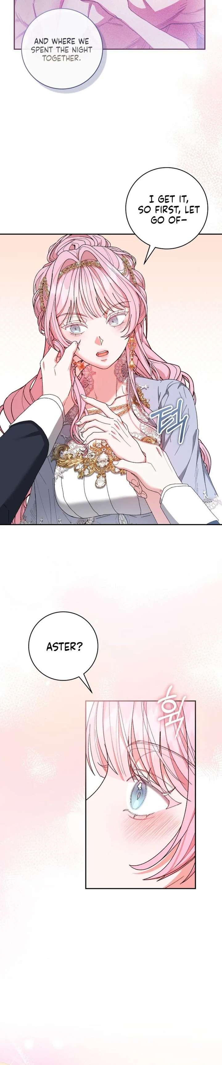 If You Marry the Illegitimate Son of the Enemy