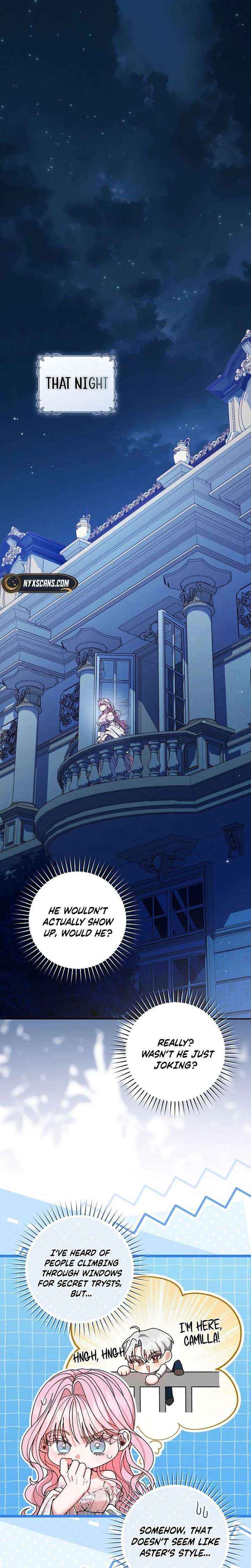 If You Marry the Illegitimate Son of the Enemy