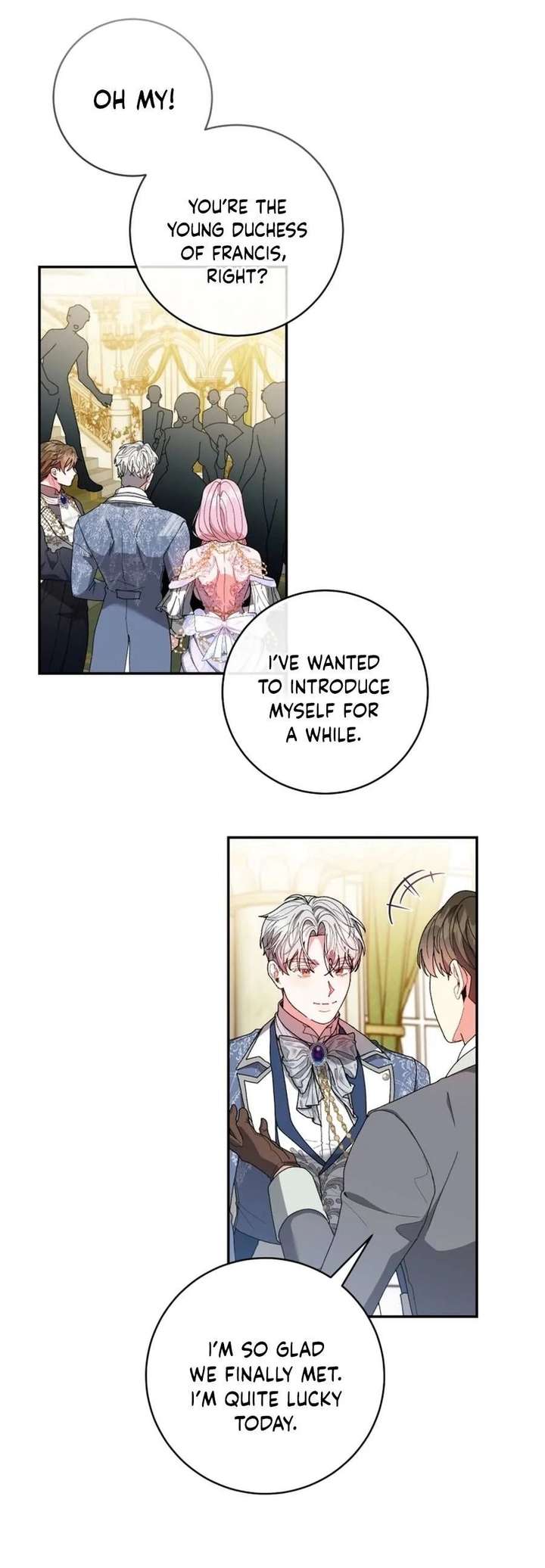 If You Marry the Illegitimate Son of the Enemy