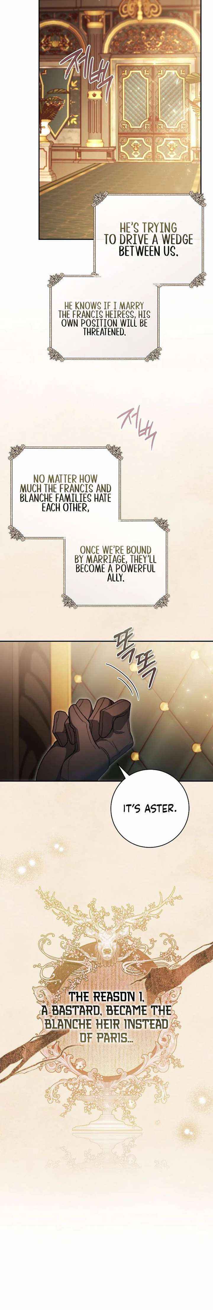 If You Marry the Illegitimate Son of the Enemy