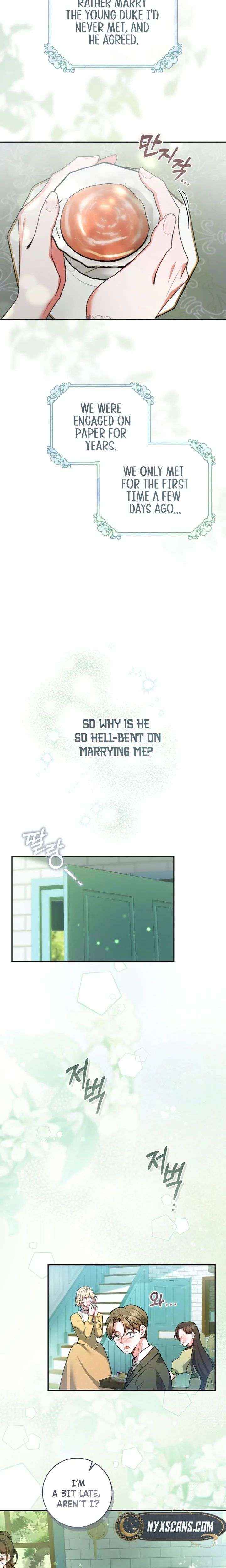 If You Marry the Illegitimate Son of the Enemy