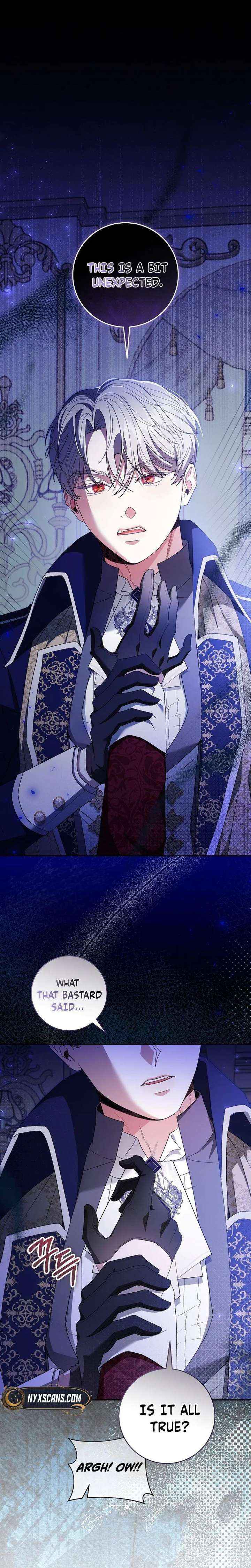 If You Marry the Illegitimate Son of the Enemy