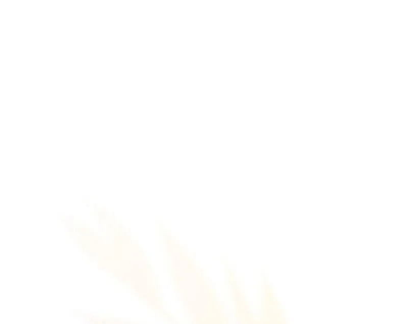 If You Want a Cheeky Sorceress Chapter 18 page 146 - 