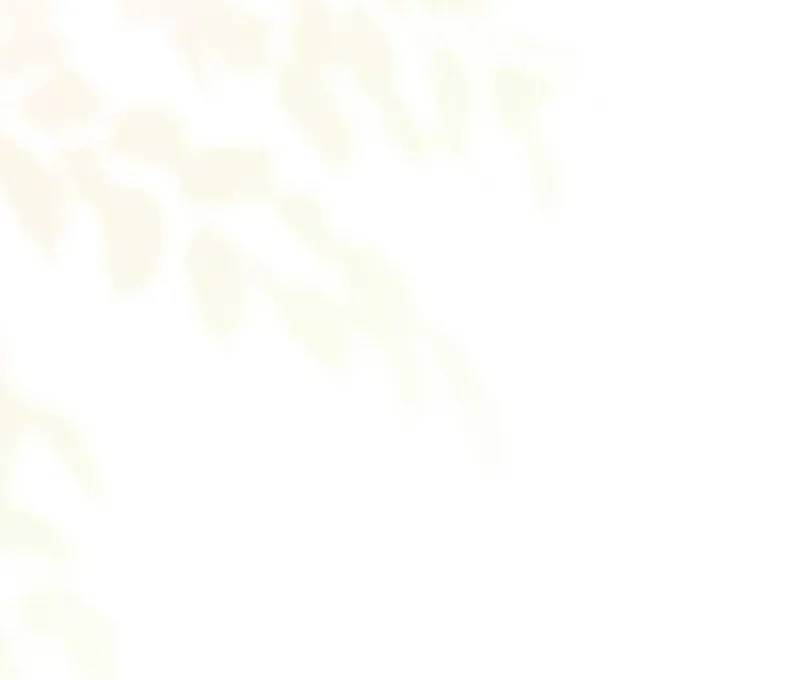 If You Want a Cheeky Sorceress Chapter 21 page 36 - 