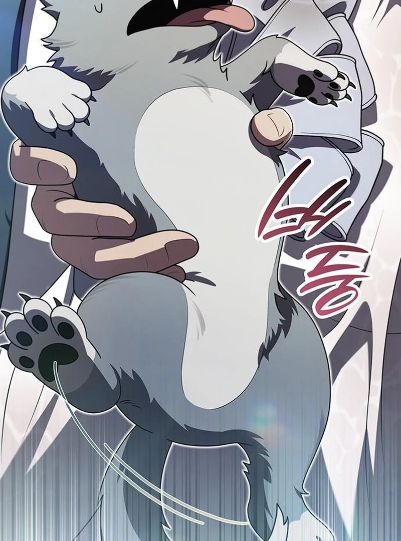 If You Want a Cheeky Sorceress Chapter 26 page 209 - 