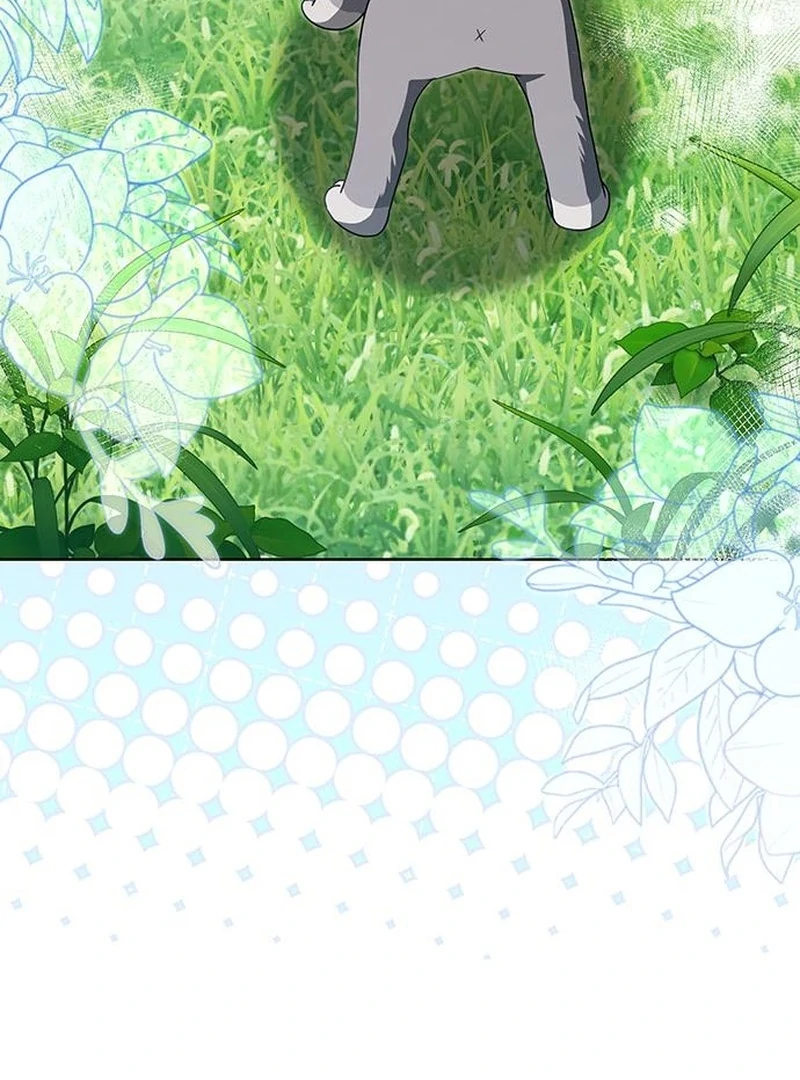 If You Want a Cheeky Sorceress Chapter 29 page 17 - 