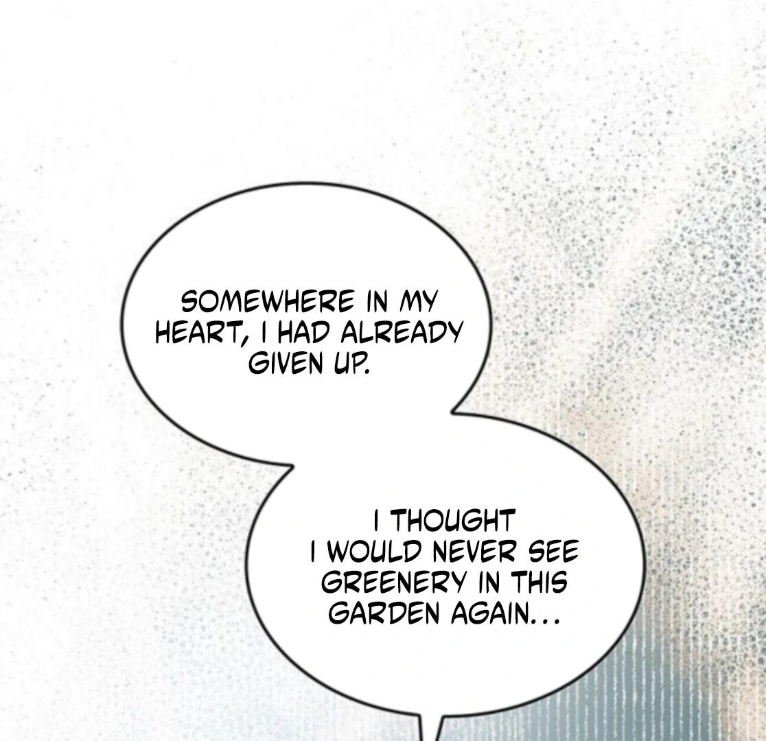 If You Want a Cheeky Sorceress Chapter 31 page 147 - 