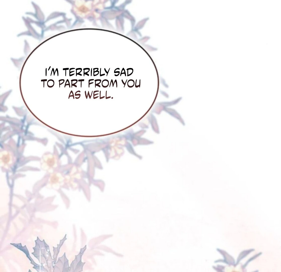 If You Want a Cheeky Sorceress Chapter 31 page 183 - 