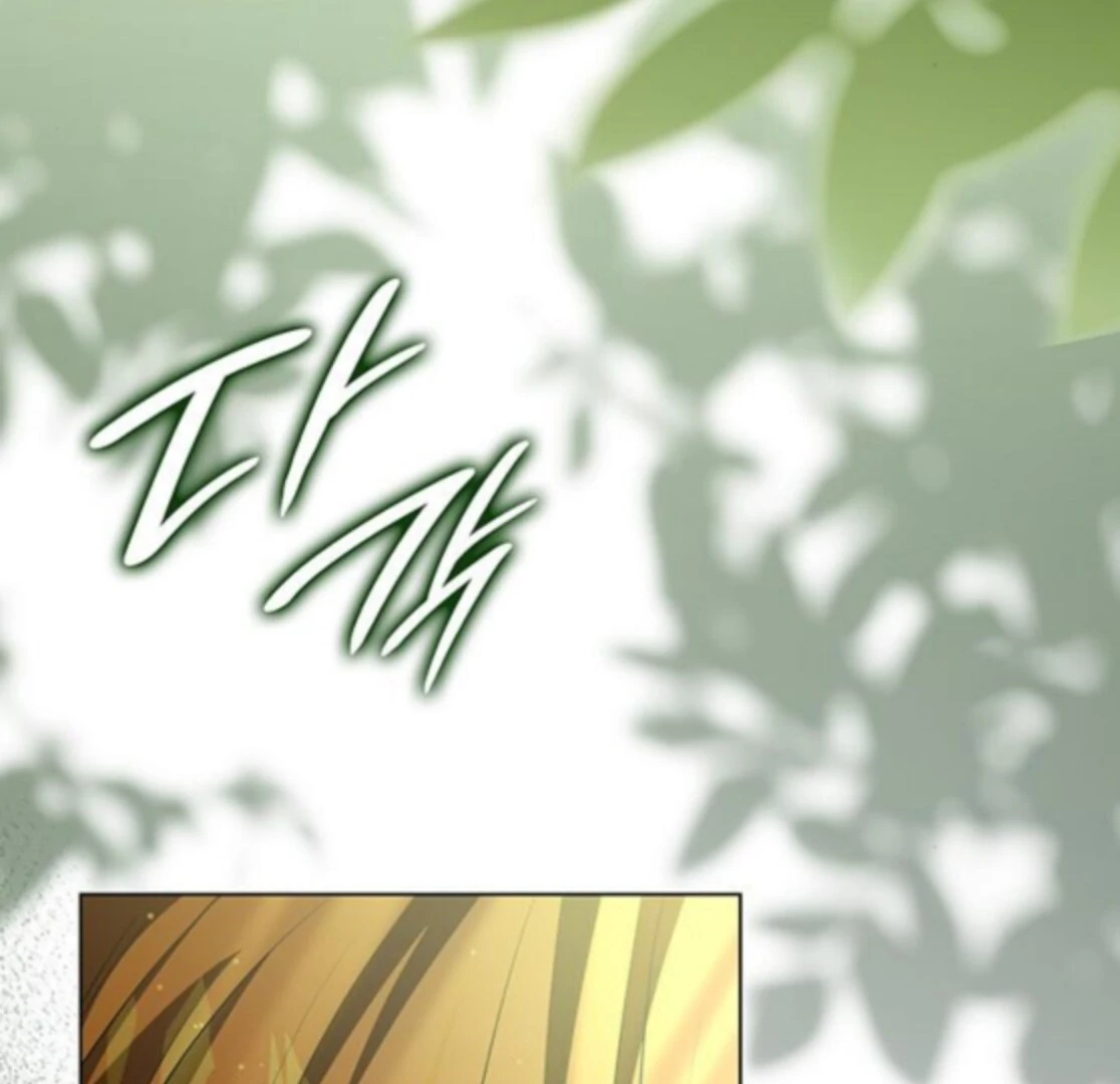 If You Want a Cheeky Sorceress Chapter 31 page 215 - 
