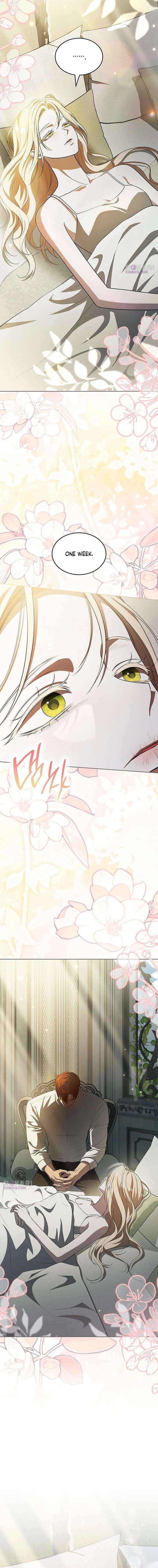 If You Want a Cheeky Sorceress Chapter 38 page 25 - 
