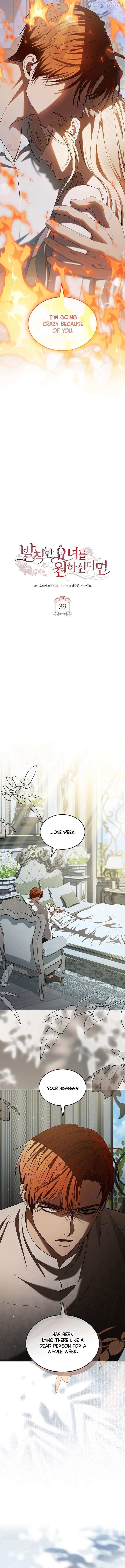 If You Want a Cheeky Sorceress Chapter 39 page 5 - 