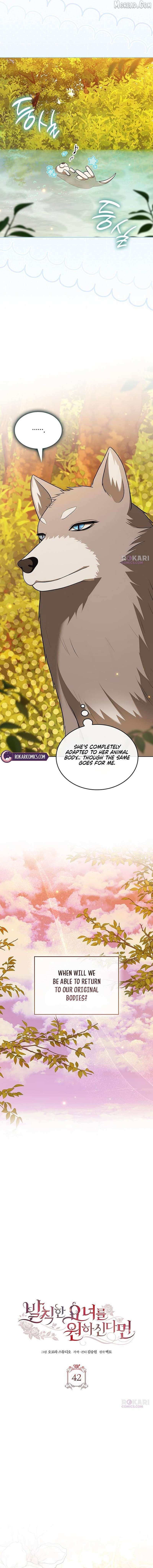If You Want a Cheeky Sorceress Chapter 42 page 5 - 
