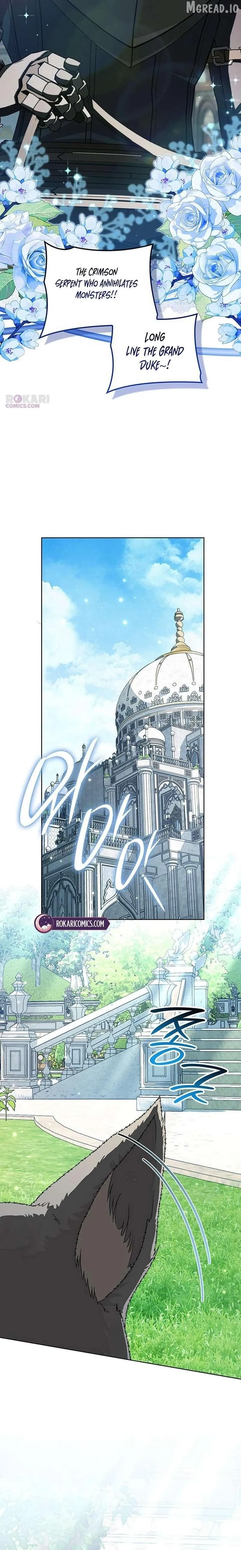 If You Want a Cheeky Sorceress Chapter 47 page 11 - 