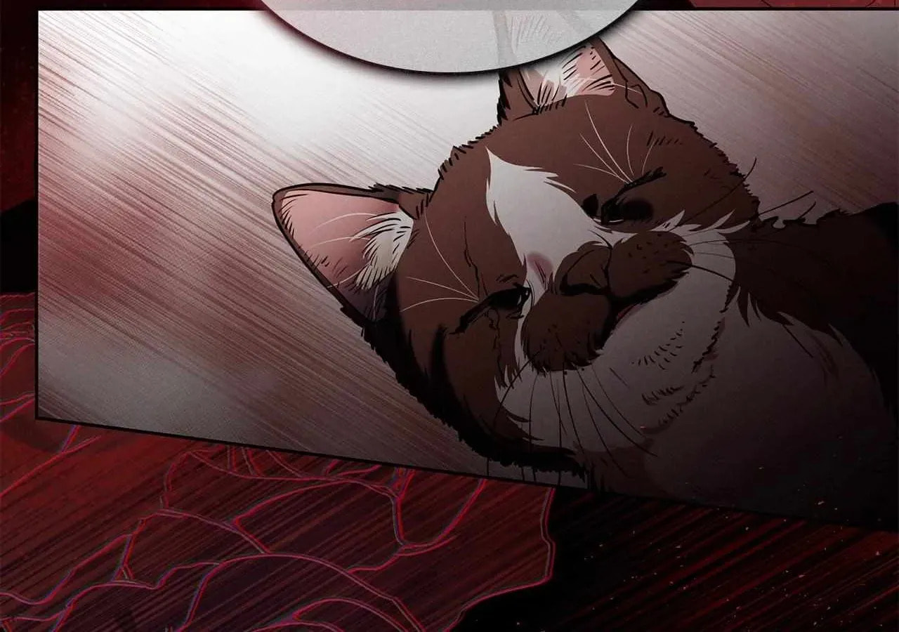 If You Wish to Have Me Chapter 57 page 148 - 