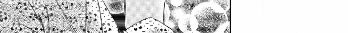 Igirisu Kizoku to Edo Recipe Chapter 3 page 46 - 