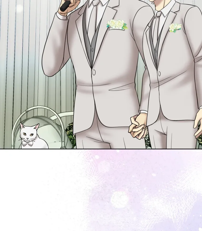 I’ll Be in Your Care Chapter 279 page 11 - 
