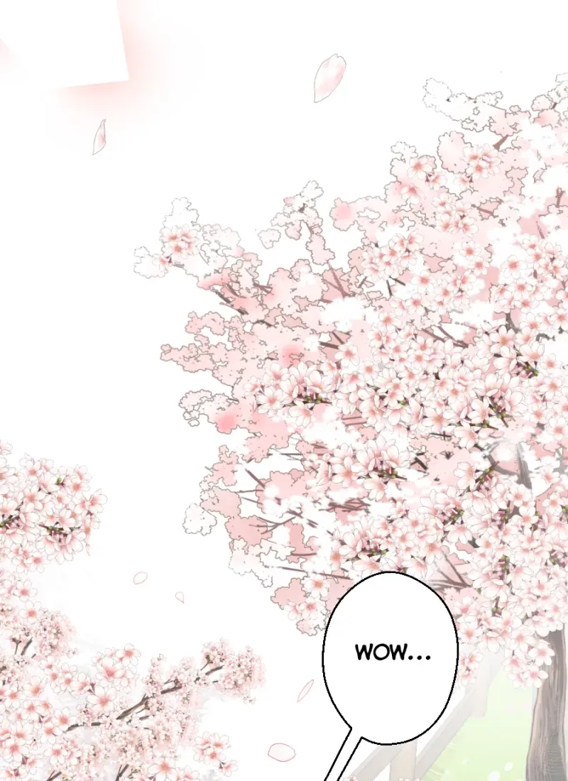 I’ll Be in Your Care Chapter 286 page 3 - 