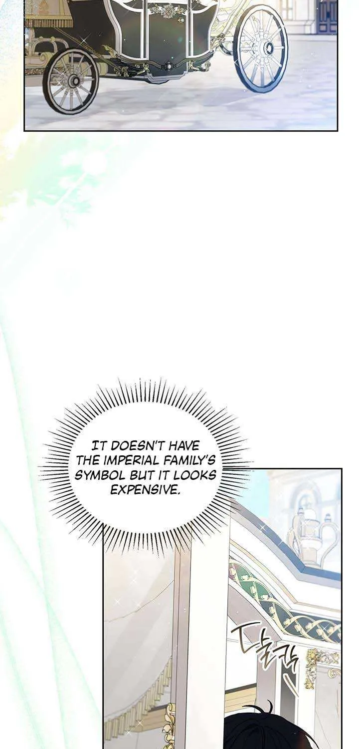 I’Ll Be The Matriarch In This Life Chapter 116 page 33 - 