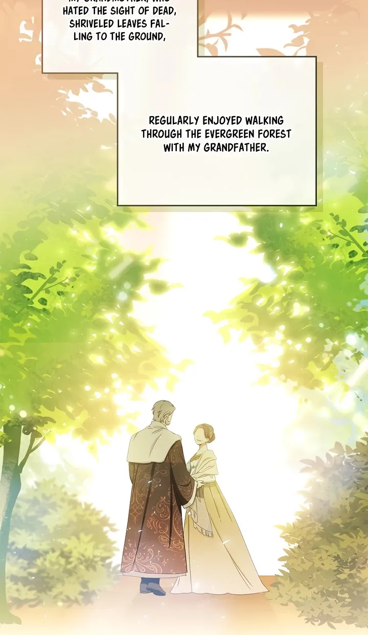 I’Ll Be The Matriarch In This Life Chapter 13 page 28 - 