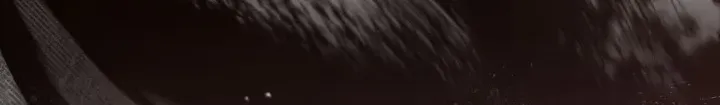 I’Ll Be The Matriarch In This Life Chapter 185 page 47 - 