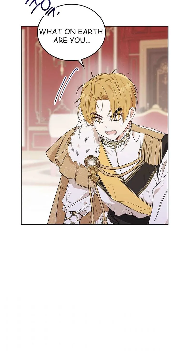 I’Ll Be The Matriarch In This Life Chapter 60 page 51 - 