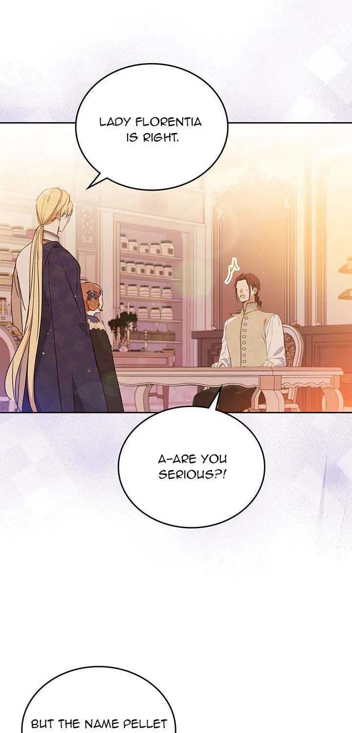 I’Ll Be The Matriarch In This Life Chapter 99 page 48 - 