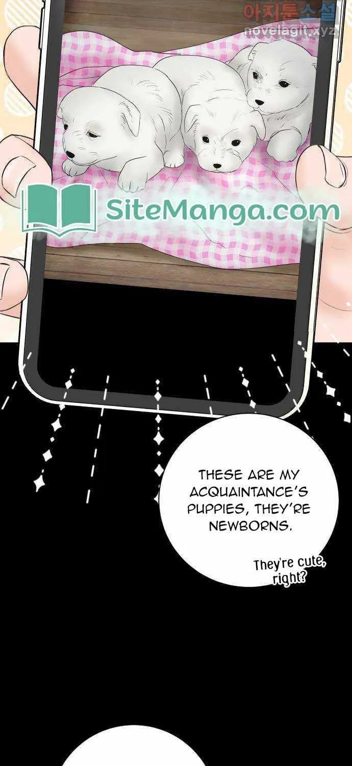 I’ll Give You the Most Rotten One Chapter 5 page 45 - 