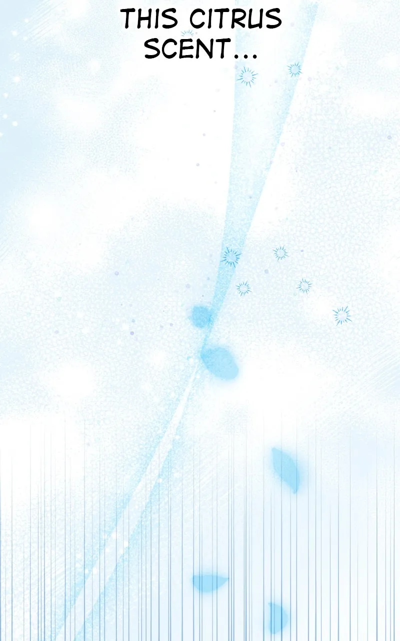 I’ll Marry Your Brother Chapter 16 page 36 - 