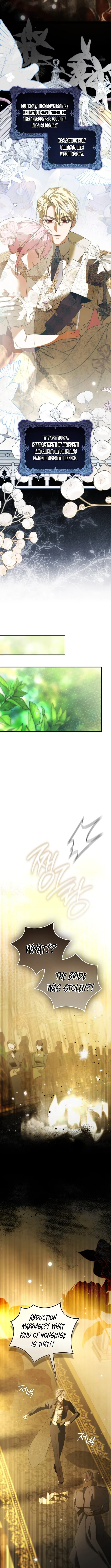 I’ll Start by Changing My Husband Through a Plunder Marriage Chapter 6 page 13 - 