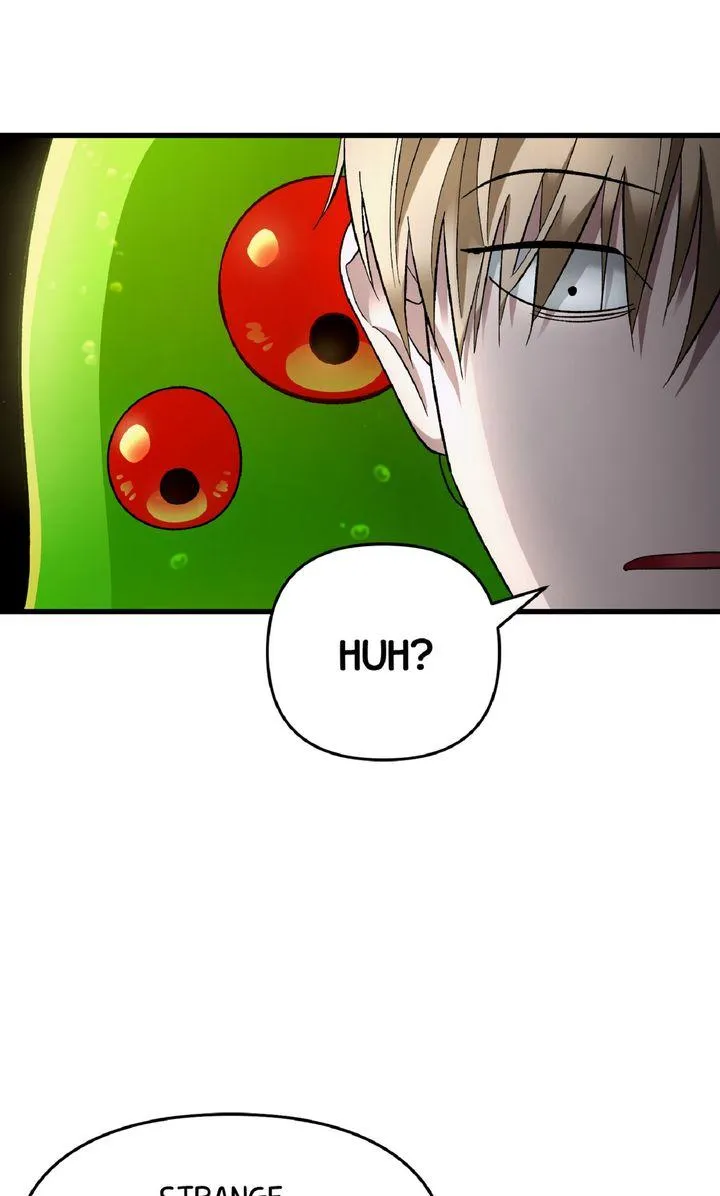Illusion Hunter from Another World Chapter 1.1 page 136 - 