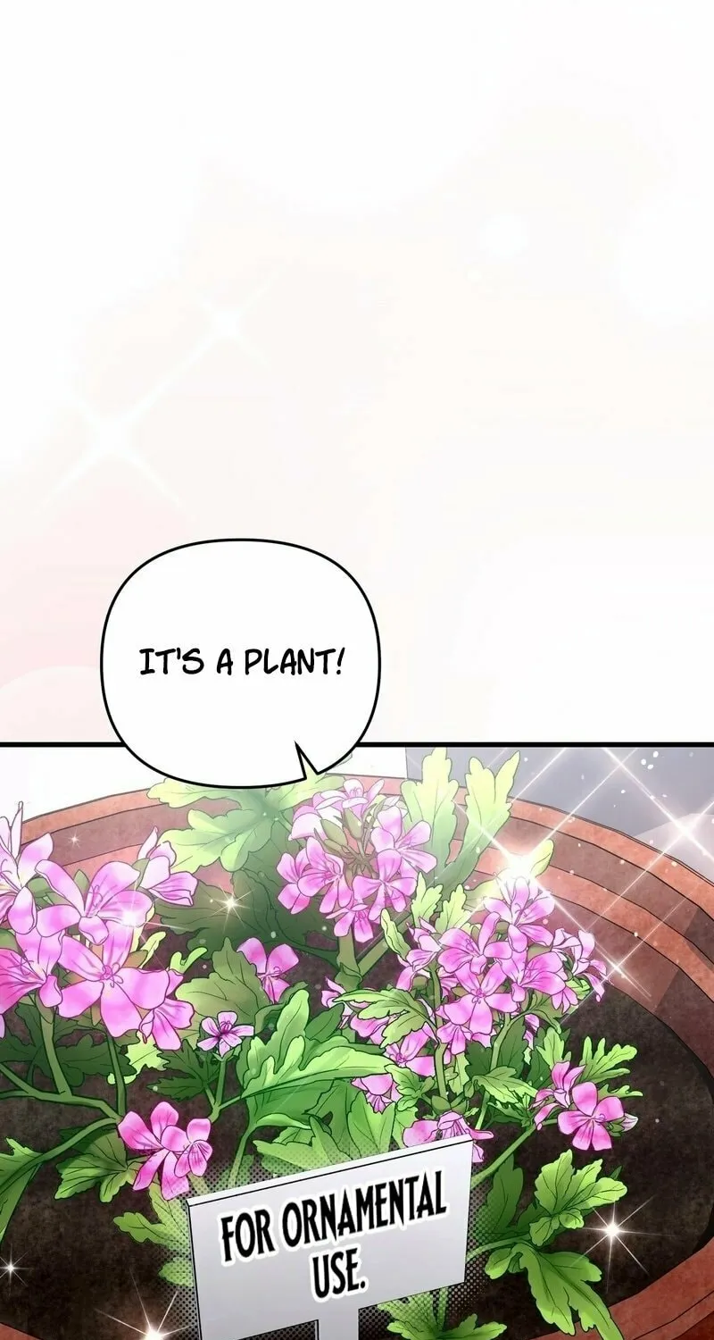Illusion Hunter from Another World Chapter 1 page 65 - 