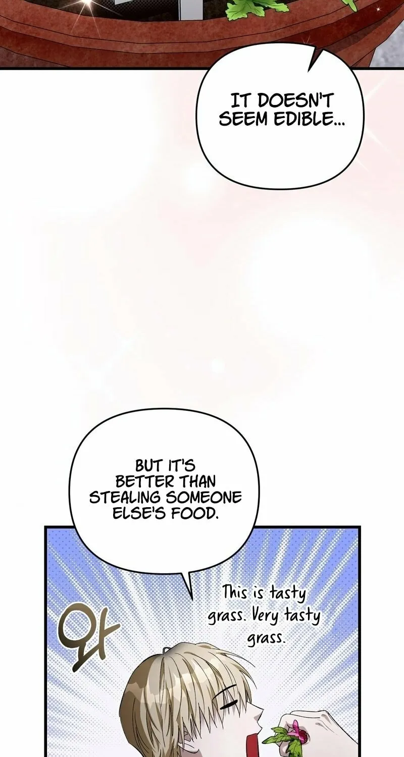 Illusion Hunter from Another World Chapter 1 page 66 - 