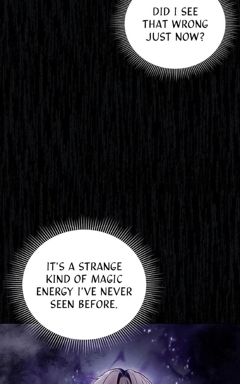 Illusion Hunter from Another World Chapter 14 page 13 - 