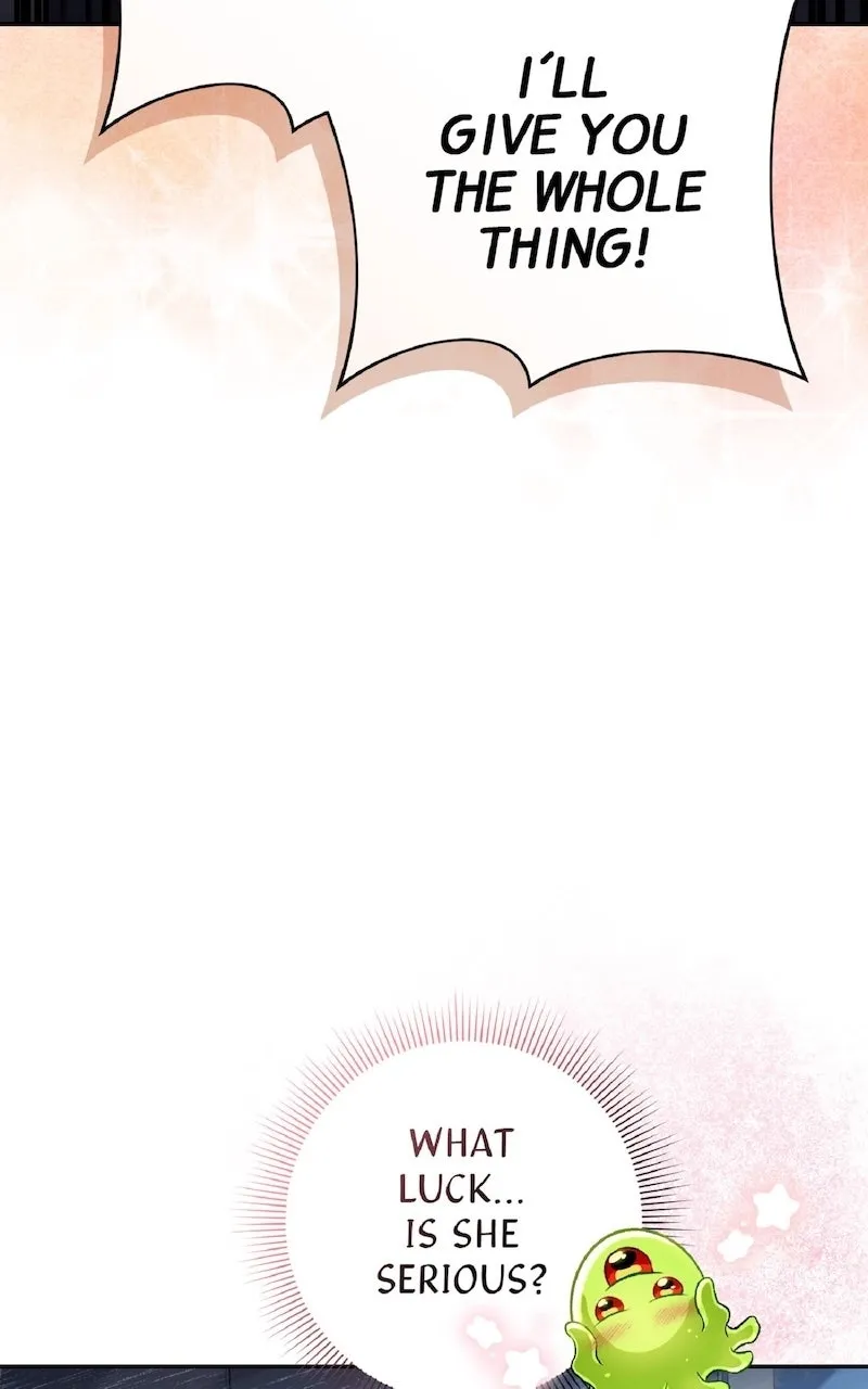 Illusion Hunter from Another World Chapter 17 page 8 - 