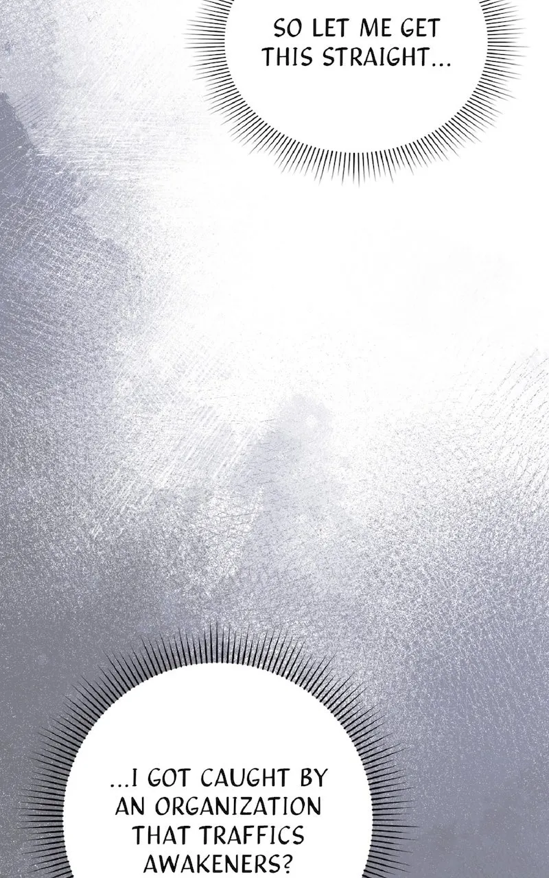 Illusion Hunter from Another World Chapter 19 page 99 - 