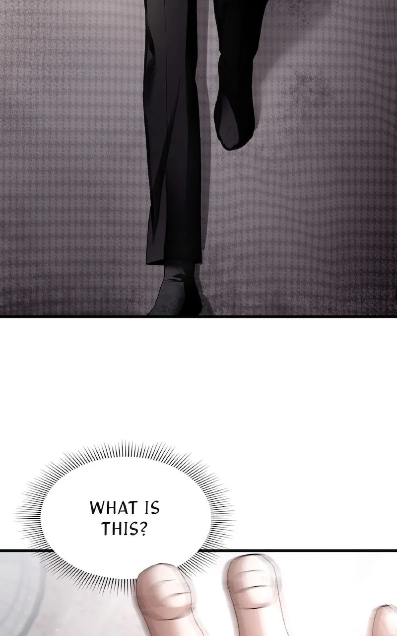 Illusion Hunter from Another World Chapter 2 page 5 - 