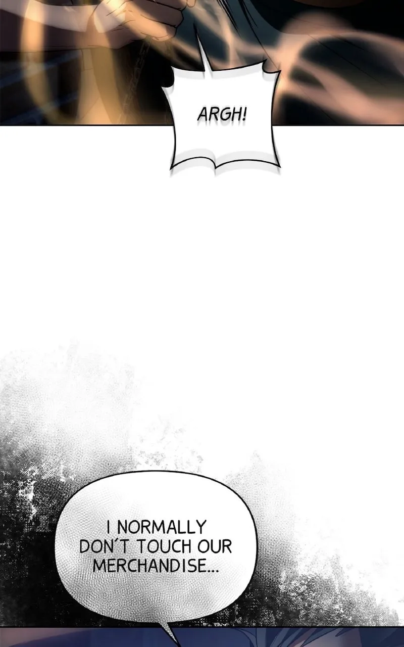 Illusion Hunter from Another World Chapter 20 page 91 - 