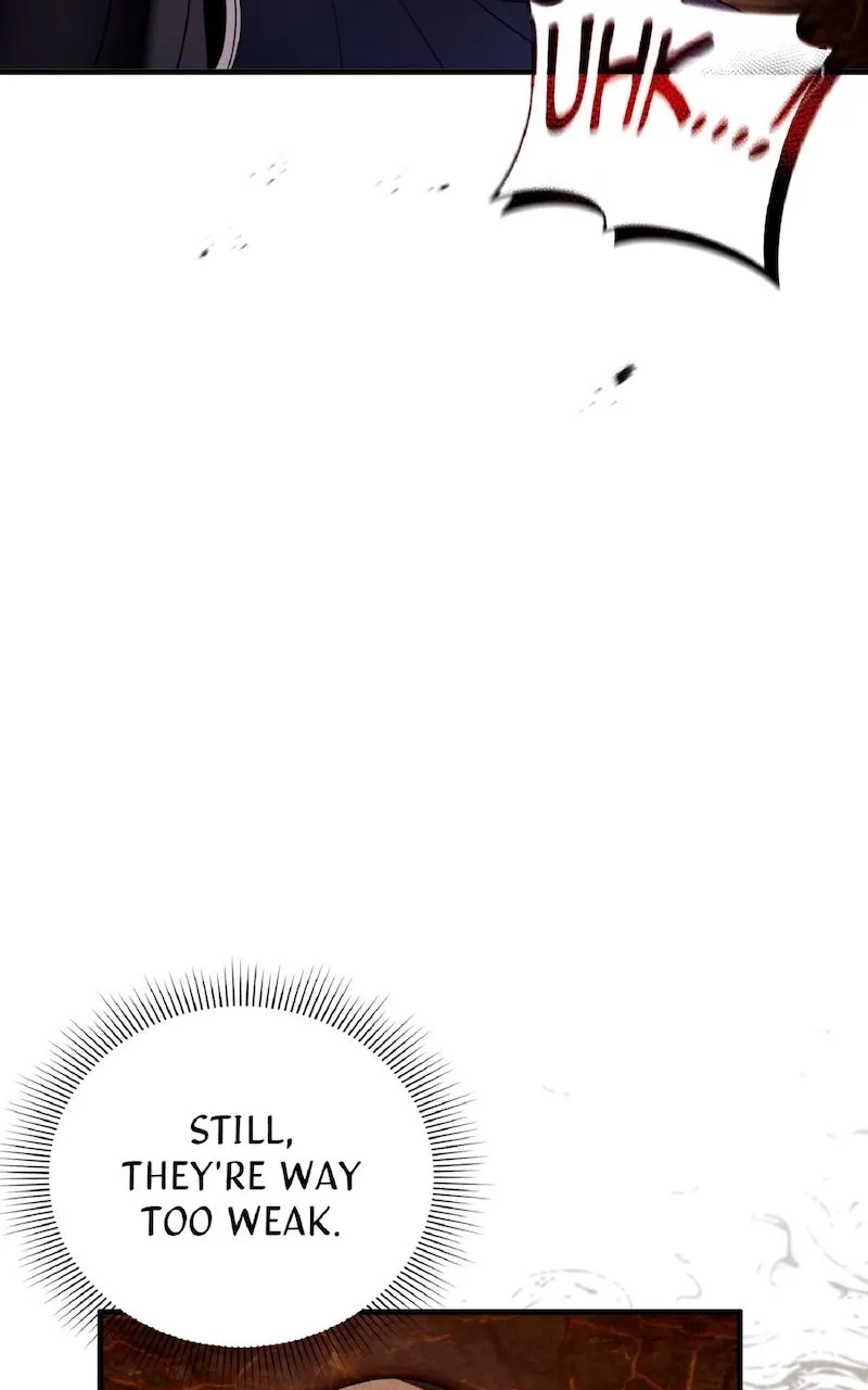 Illusion Hunter from Another World Chapter 28 page 24 - 