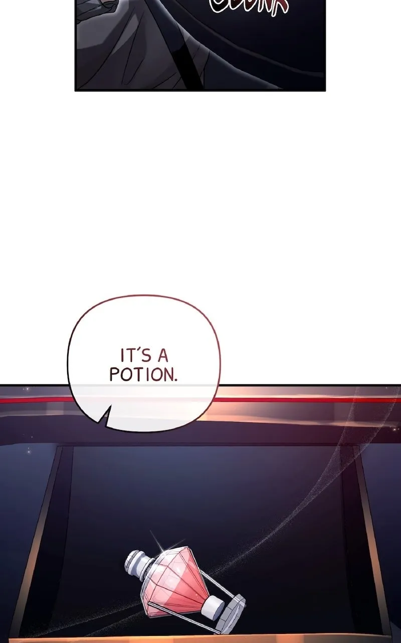 Illusion Hunter from Another World Chapter 29 page 23 - 