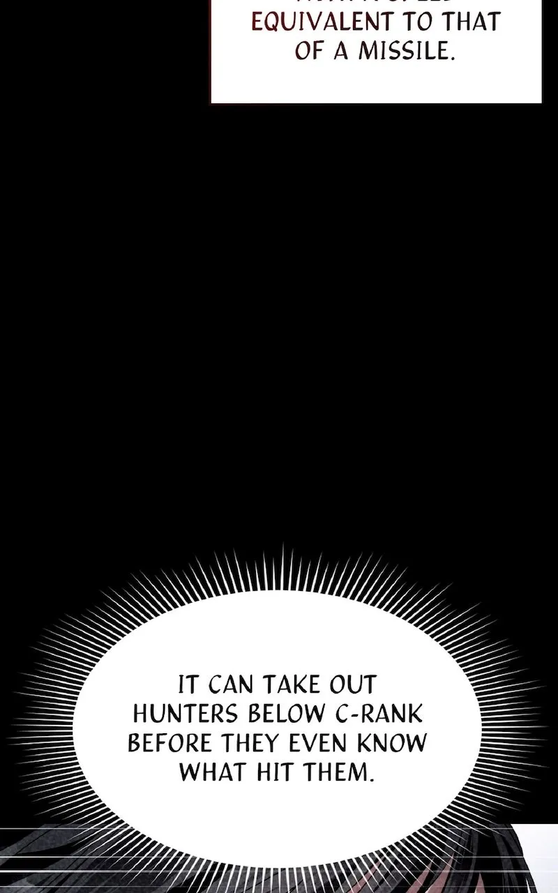 Illusion Hunter from Another World Chapter 3 page 87 - 