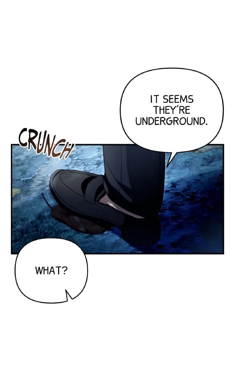 Illusion Hunter from Another World Chapter 31 page 19 - 