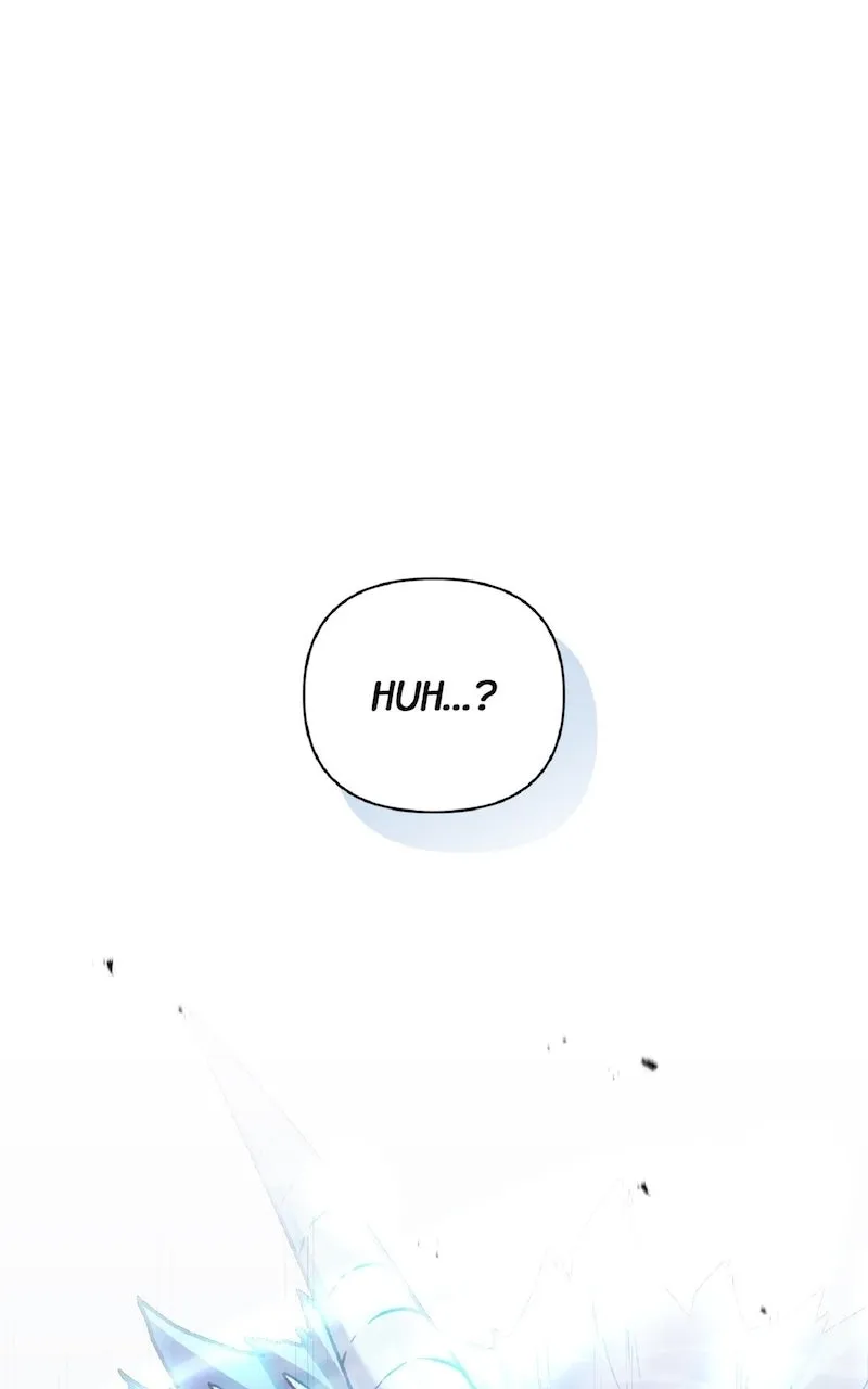 Illusion Hunter from Another World Chapter 35 page 45 - 