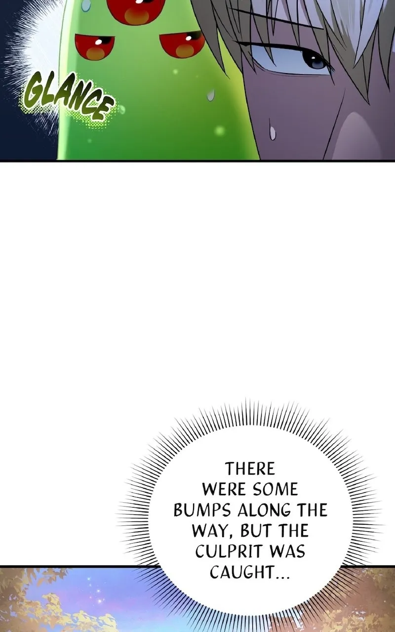 Illusion Hunter from Another World Chapter 36 page 42 - 
